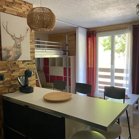 Appartements Au Coeur De La Station De Ski 