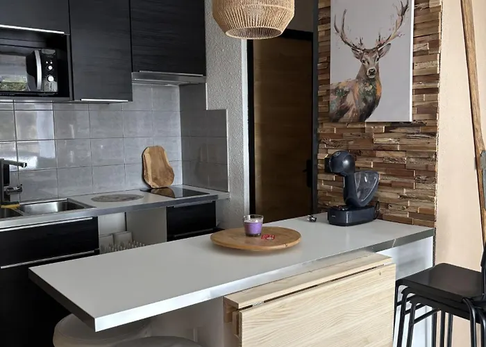 Appartements Au Coeur De La Station De Ski \